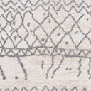 Andorra ARD-2303 Beige Area Rug