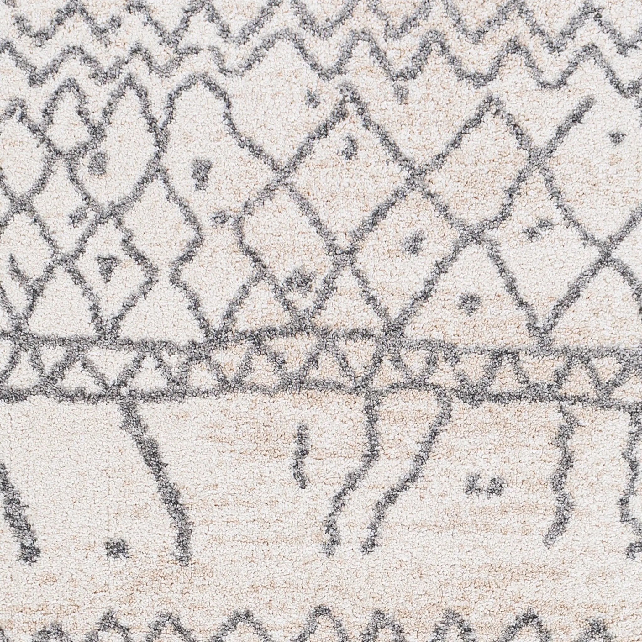 Andorra ARD-2303 Beige Area Rug by LIVABLISS