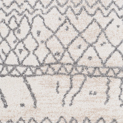 Andorra ARD-2303 Beige Area Rug by LIVABLISS