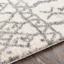Andorra ARD-2303 Beige Area Rug