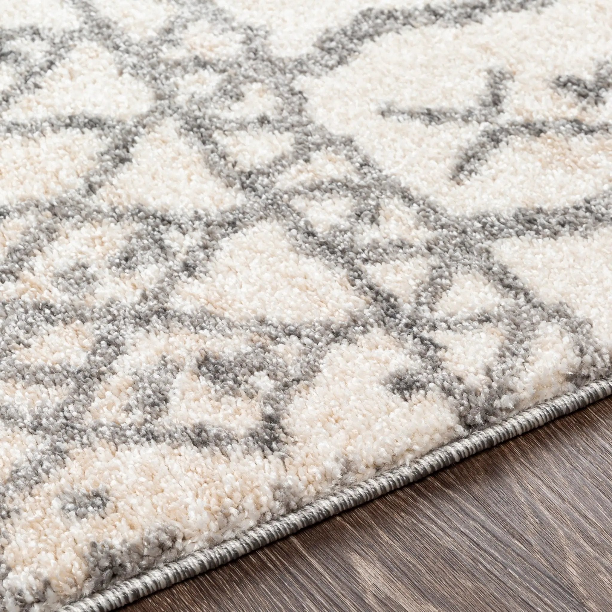 Andorra ARD-2303 Beige Area Rug by LIVABLISS