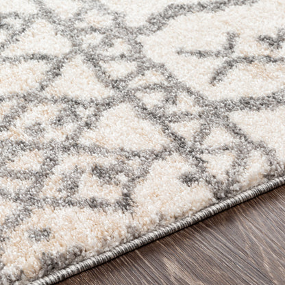 Andorra ARD-2303 Beige Area Rug