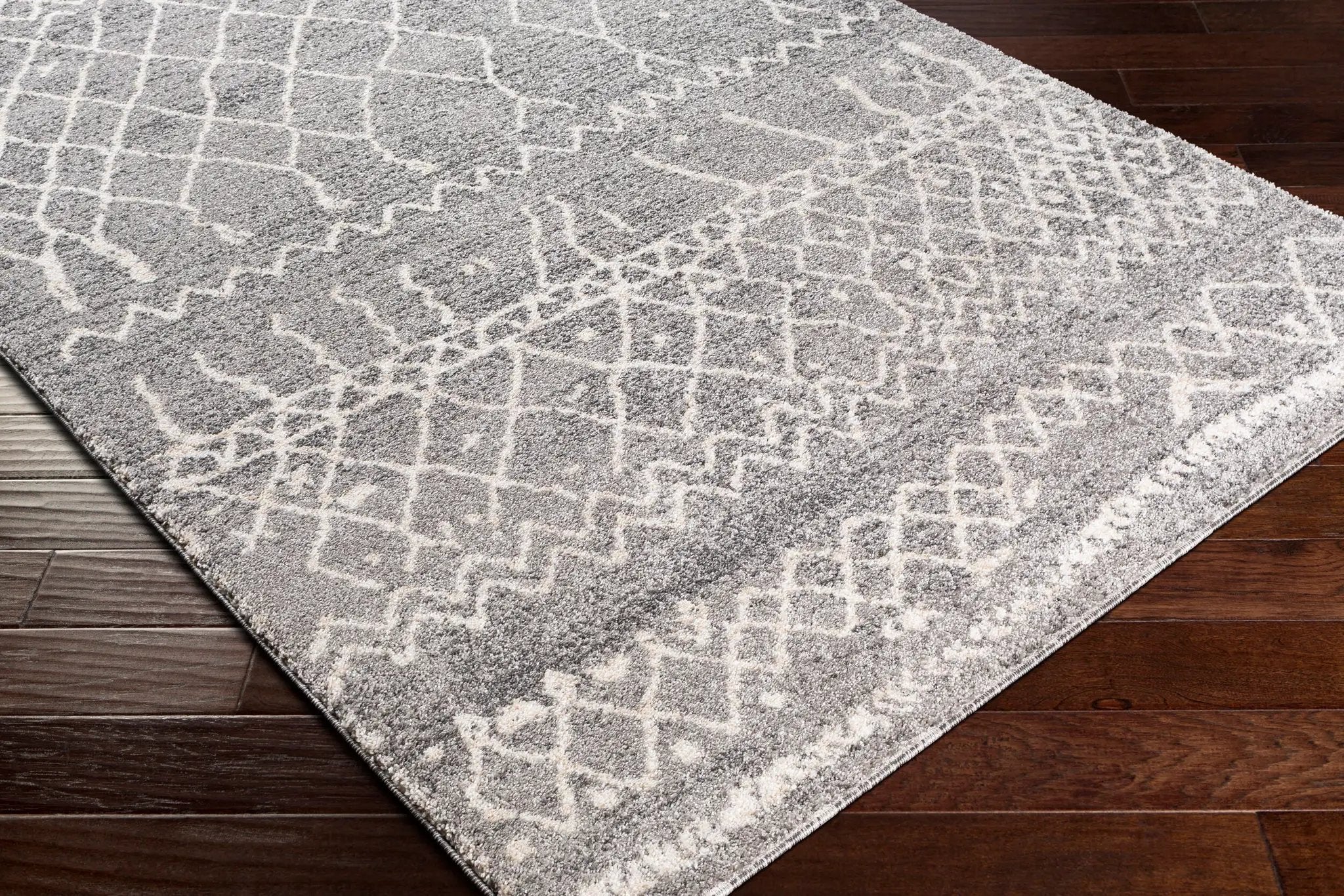 Andorra ARD-2304 Gray Area Rug by LIVABLISS