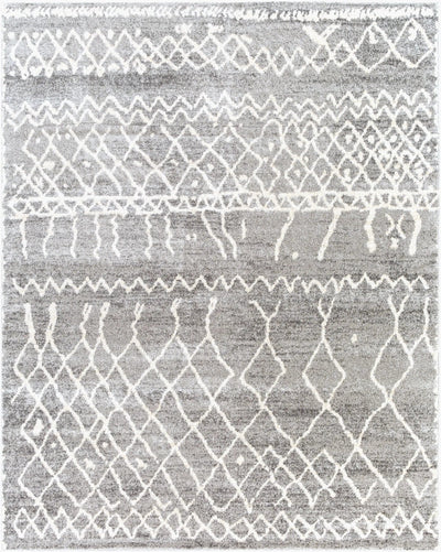 Andorra ARD-2304 Gray Area Rug by LIVABLISS