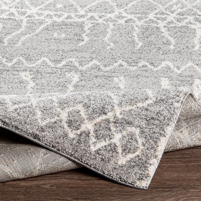 Andorra ARD-2304 Gray Area Rug by LIVABLISS