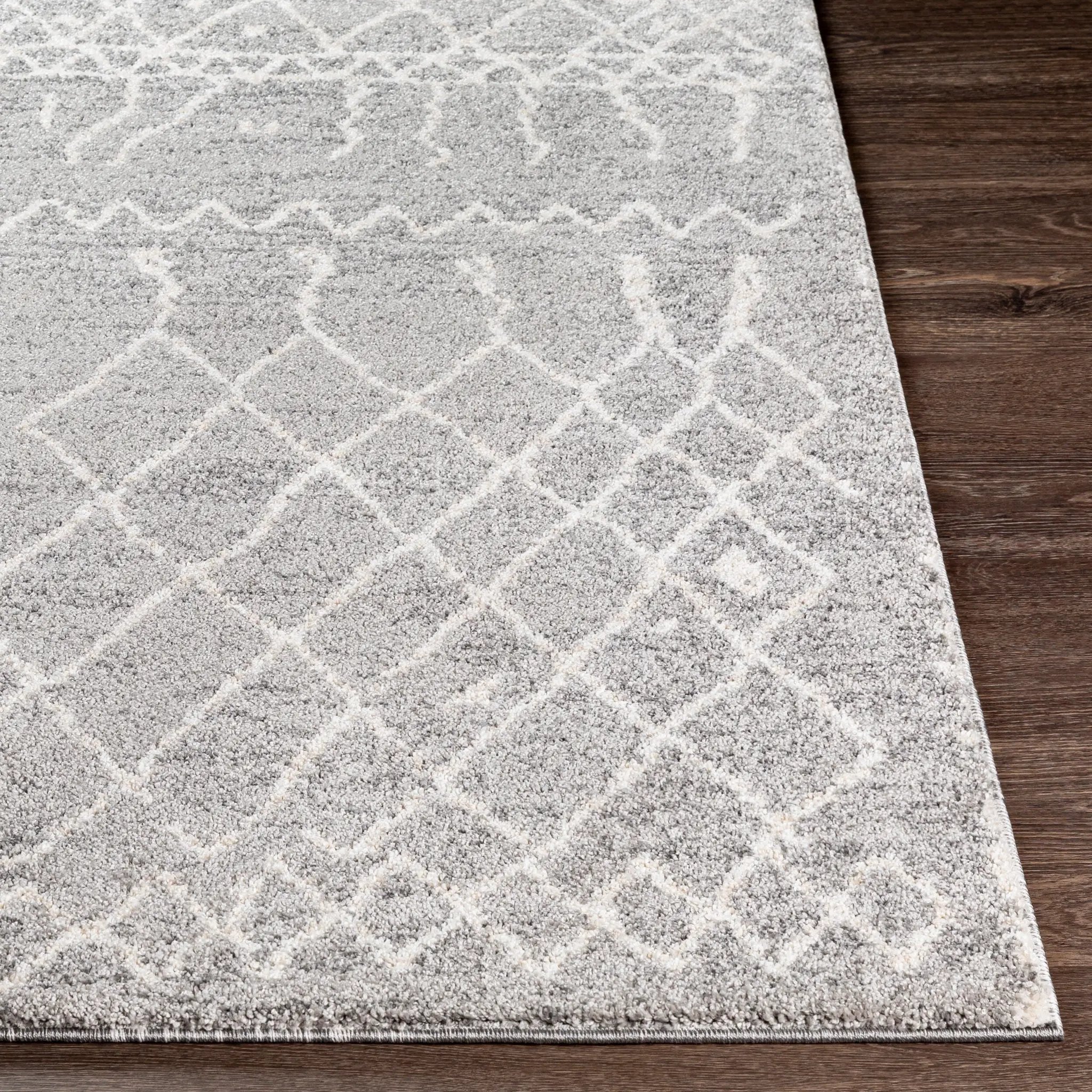Andorra ARD-2304 Gray Area Rug by LIVABLISS