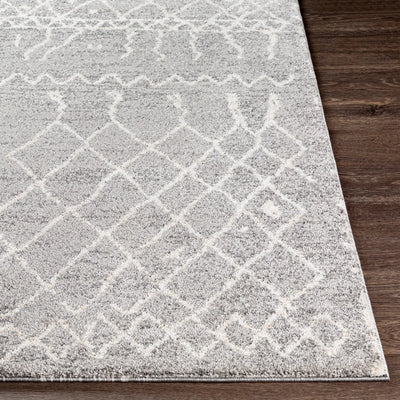 Andorra ARD-2304 Gray Area Rug by LIVABLISS