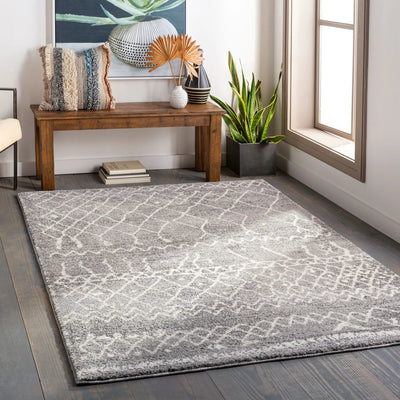 Andorra ARD-2304 Gray Area Rug by LIVABLISS