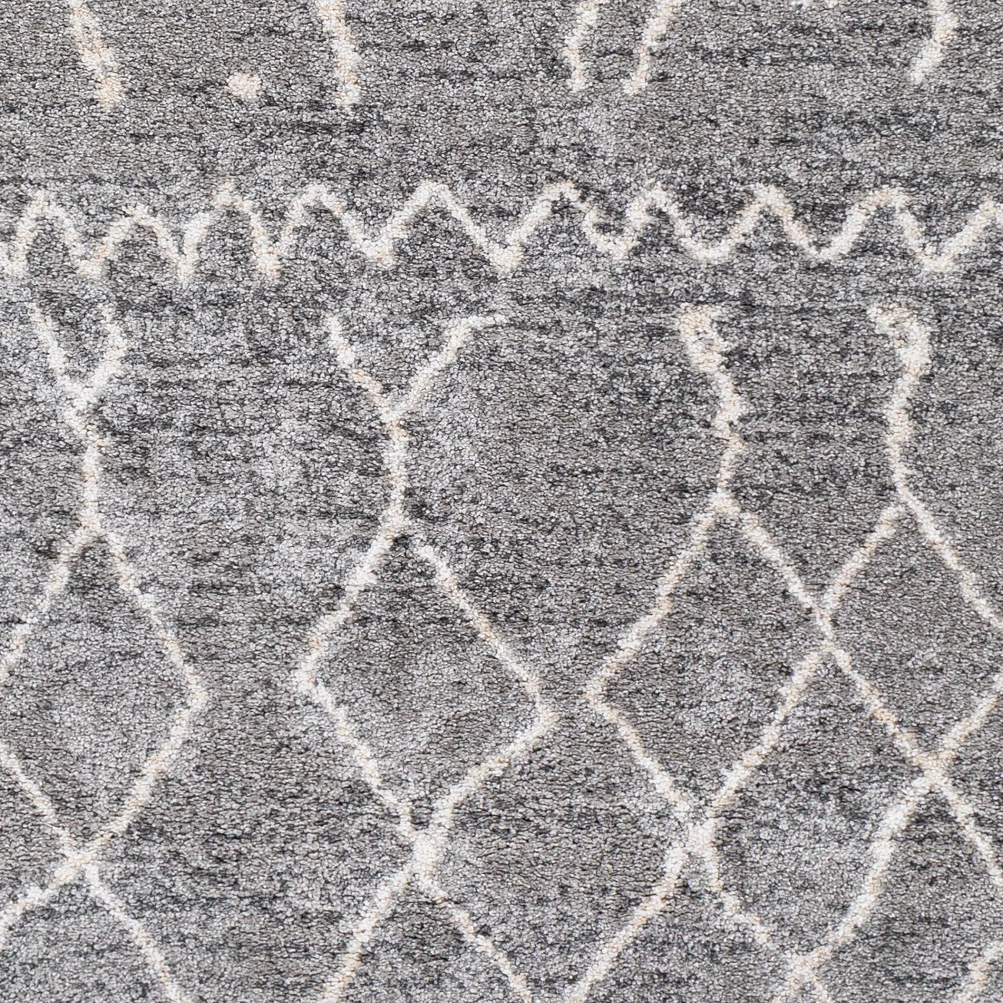 Andorra ARD-2304 Gray Area Rug by LIVABLISS