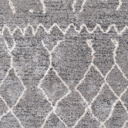 Andorra ARD-2304 Gray Area Rug