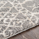 Andorra ARD-2304 Gray Area Rug