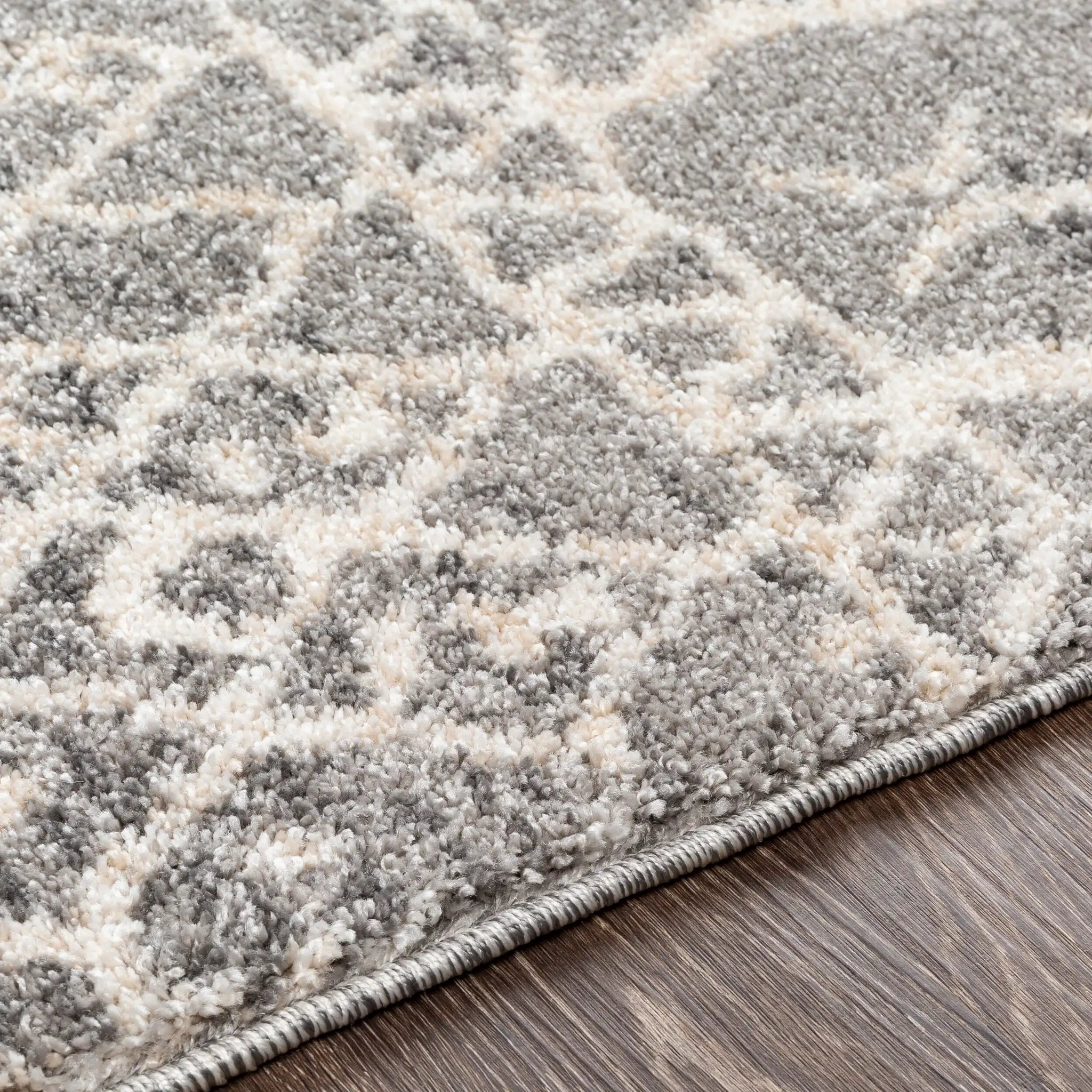 Andorra ARD-2304 Gray Area Rug by LIVABLISS