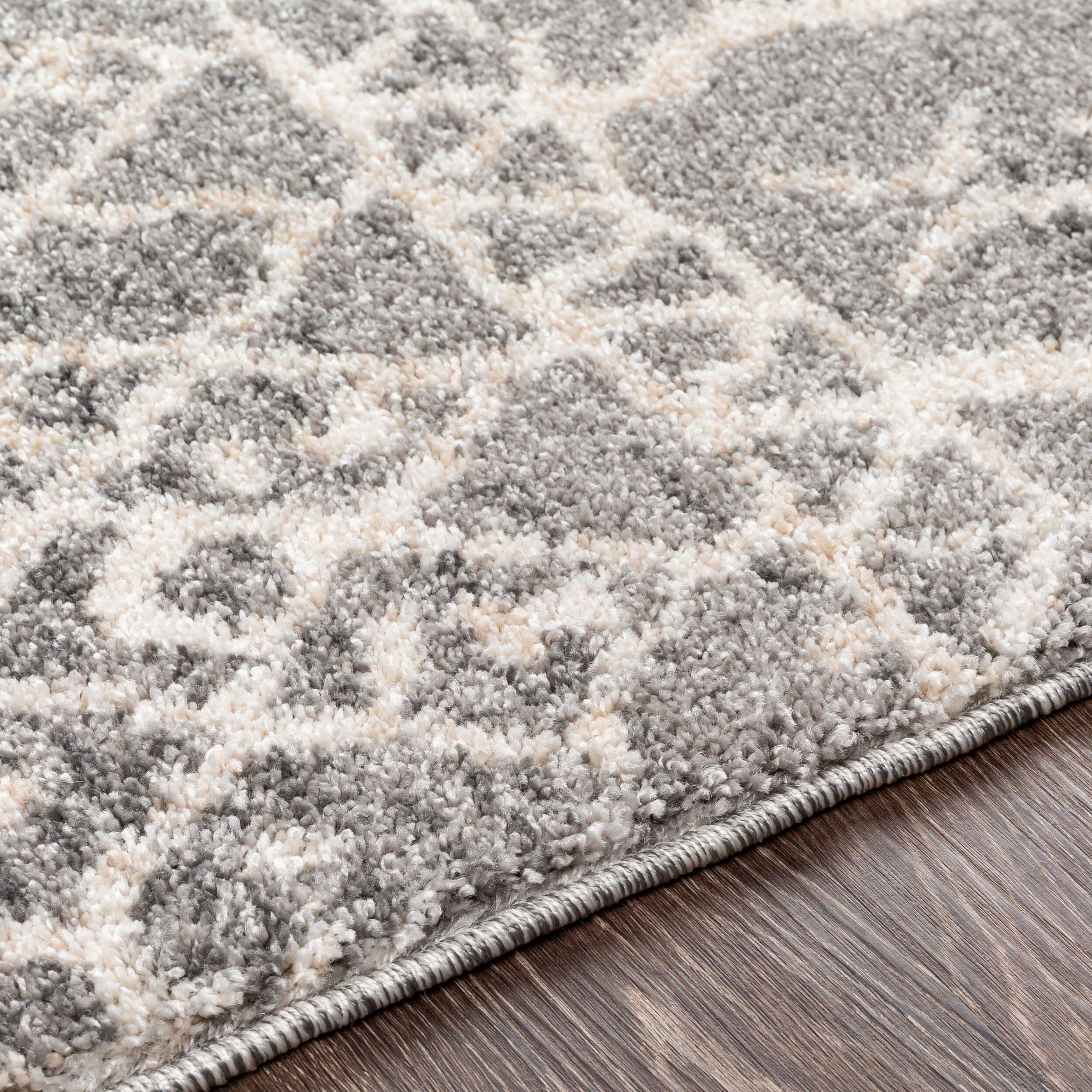 Andorra ARD-2304 Gray Area Rug