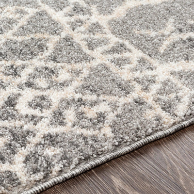 Andorra ARD-2304 Gray Area Rug by LIVABLISS