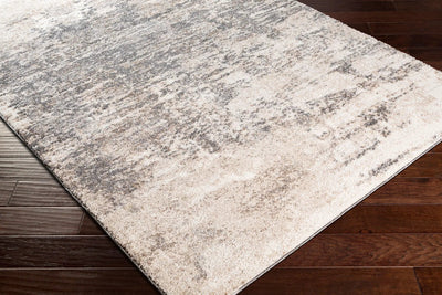 Andorra ARD-2305 Charcoal Area Rug by LIVABLISS