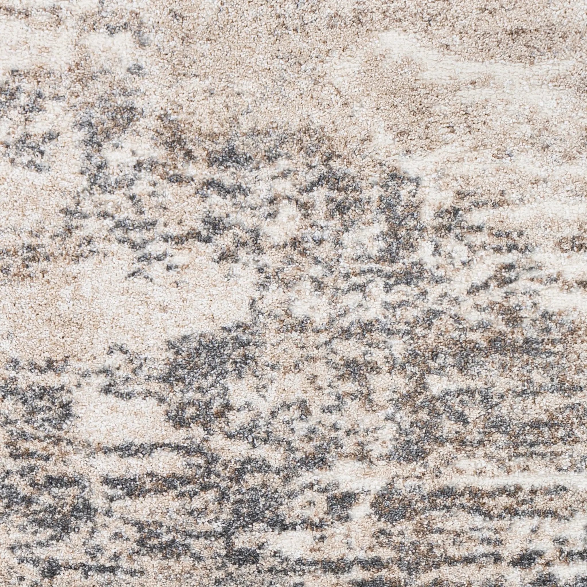 Andorra ARD-2305 Charcoal Area Rug by LIVABLISS