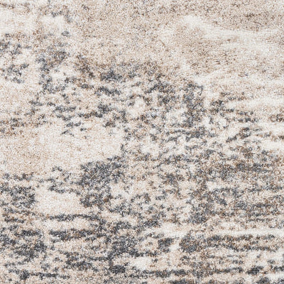 Andorra ARD-2305 Charcoal Area Rug by LIVABLISS