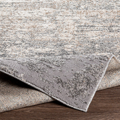 Andorra ARD-2306 Gray Area Rug