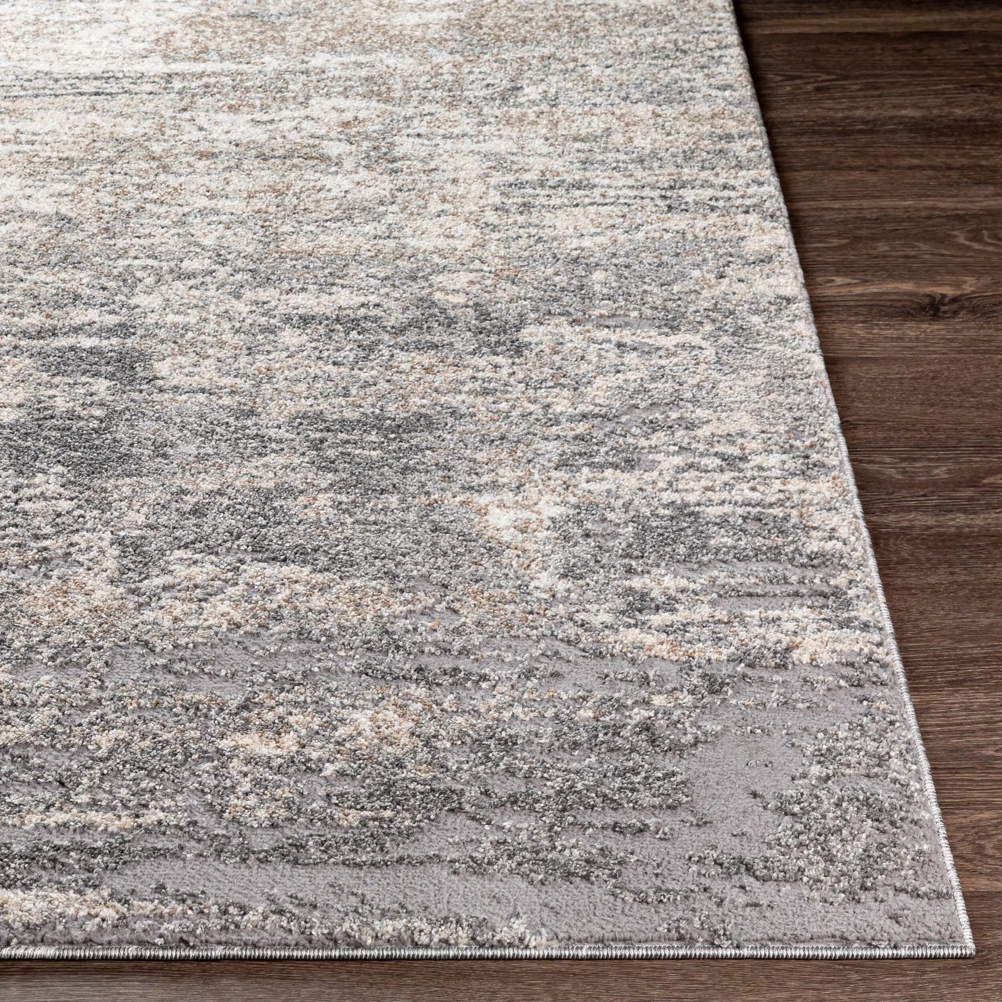 Andorra ARD-2306 Gray Area Rug by LIVABLISS