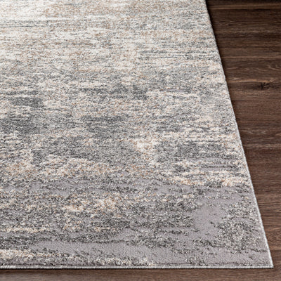 Andorra ARD-2306 Gray Area Rug