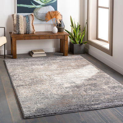 Andorra ARD-2306 Gray Area Rug