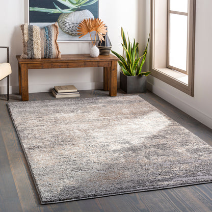 Andorra ARD-2306 Gray Area Rug