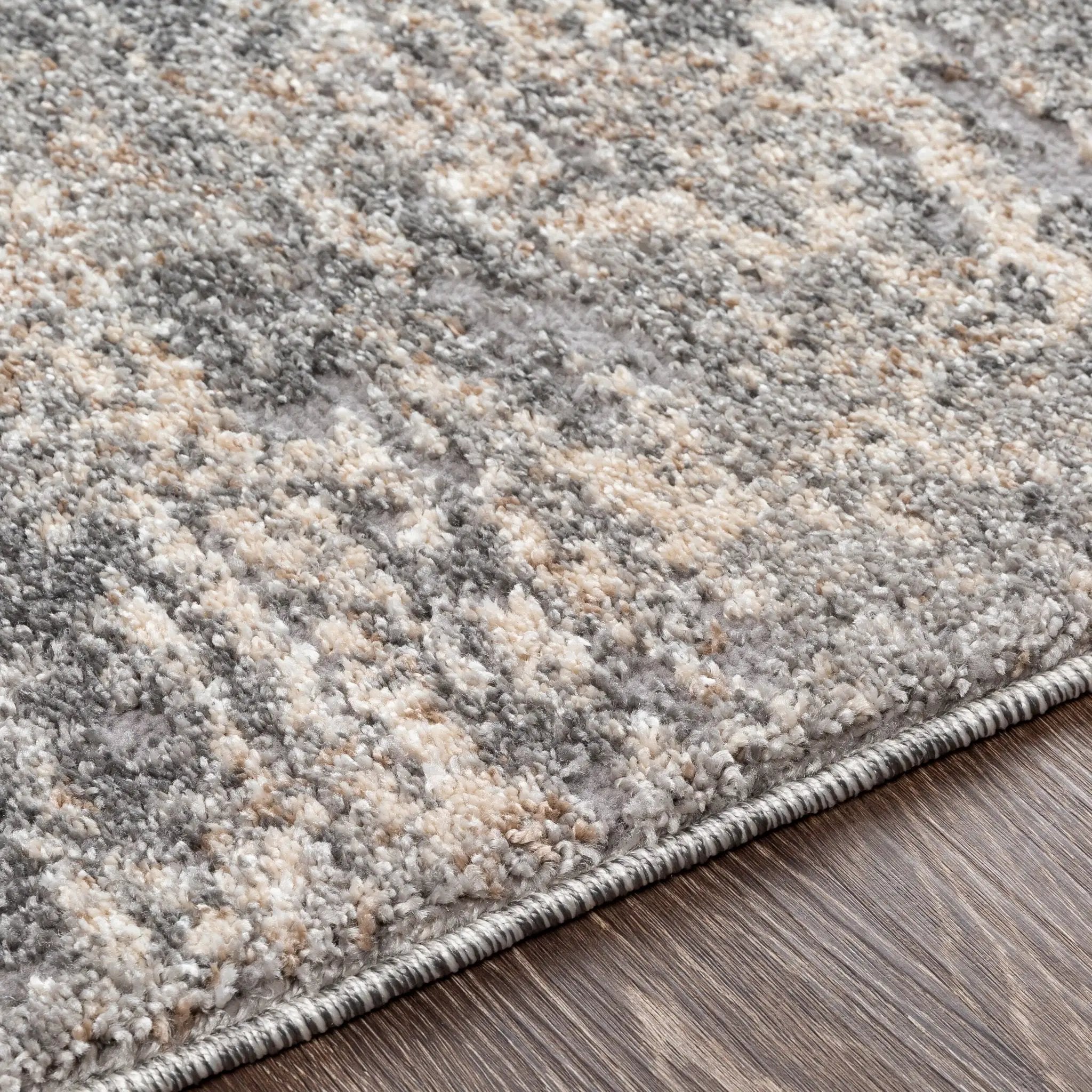 Andorra ARD-2306 Gray Area Rug by LIVABLISS