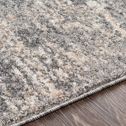 Andorra ARD-2306 Gray Area Rug