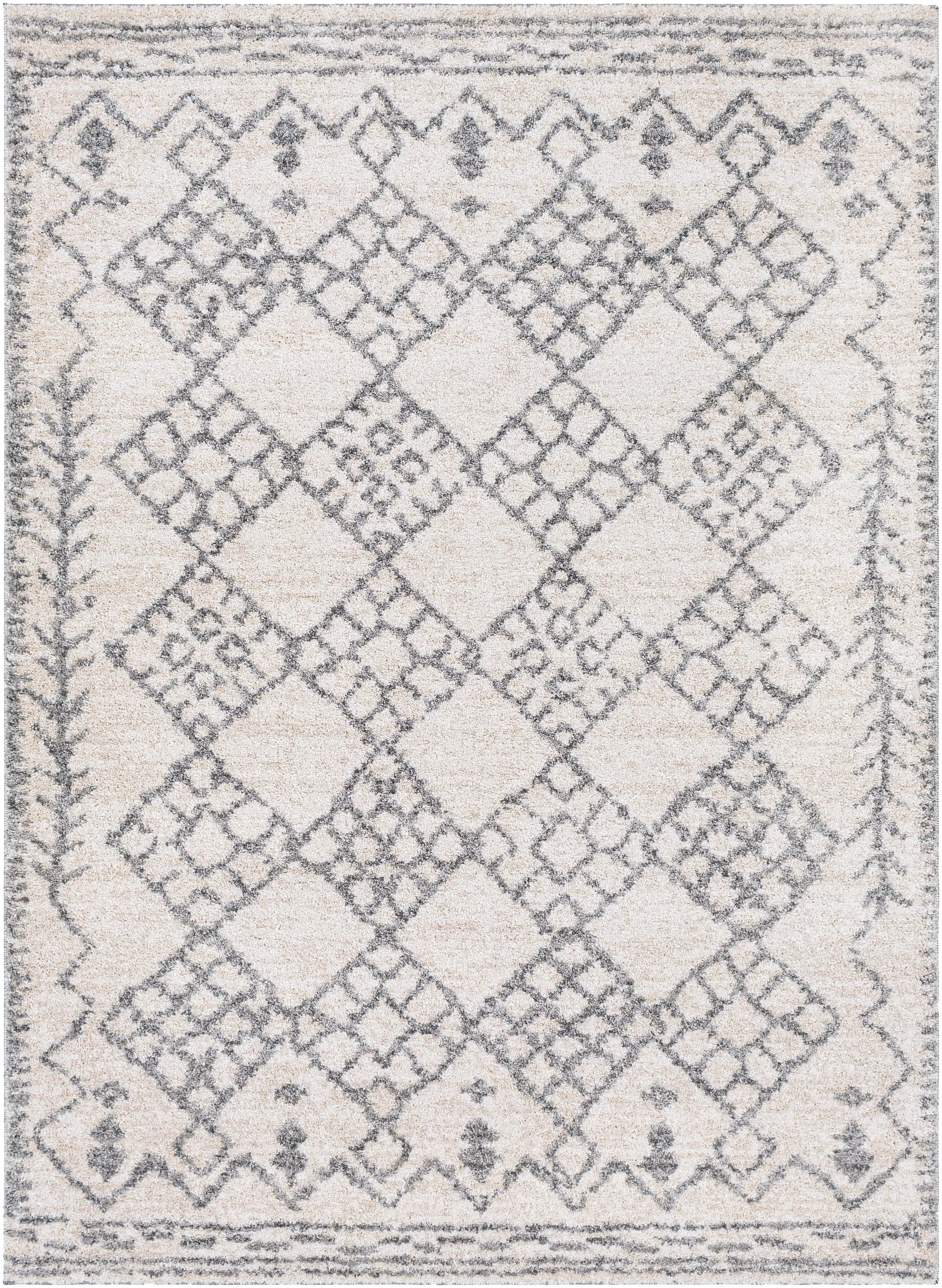 Andorra ARD-2307 Gray Area Rug by LIVABLISS