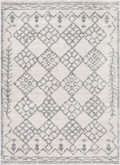 Andorra ARD-2307 Gray Area Rug by LIVABLISS