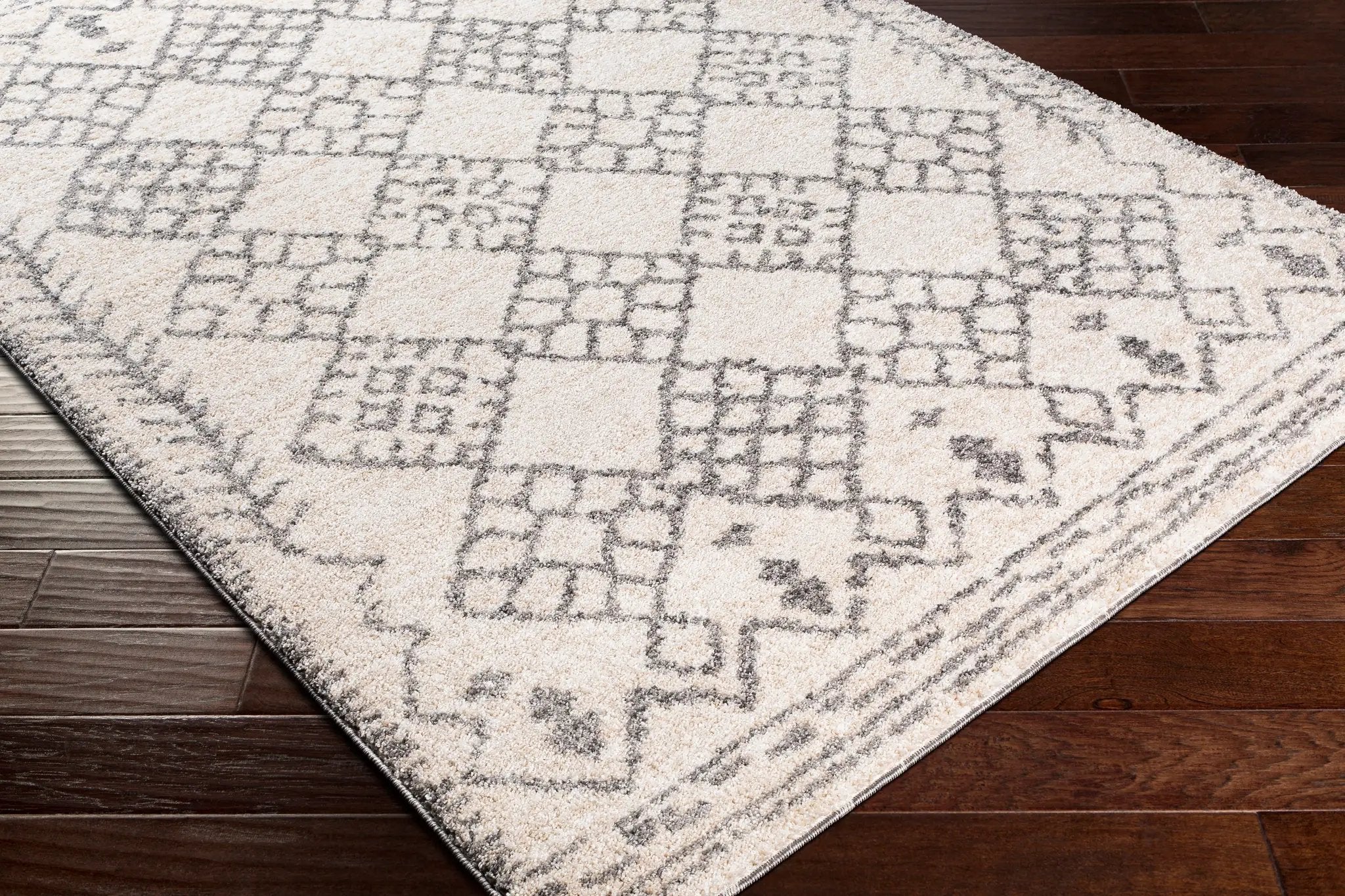 Andorra ARD-2307 Gray Area Rug by LIVABLISS