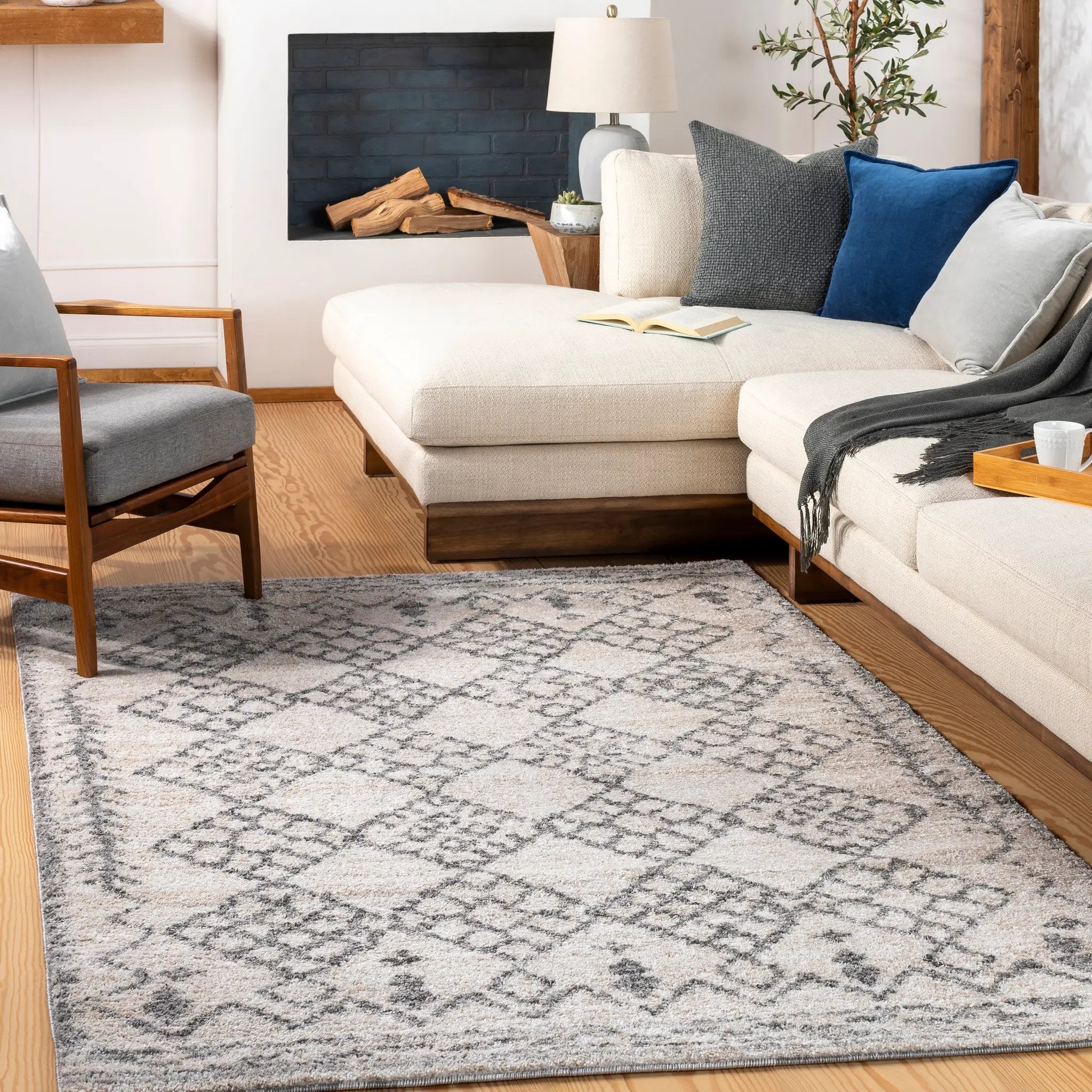 Andorra ARD-2307 Gray Area Rug by LIVABLISS