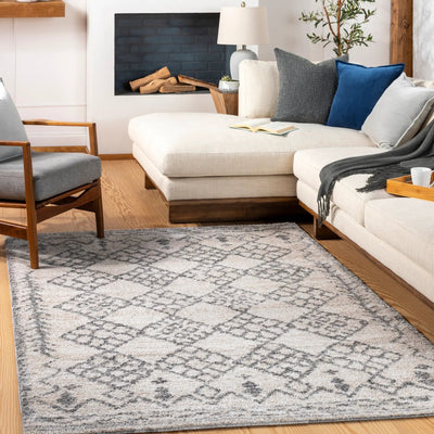 Andorra ARD-2307 Gray Area Rug by LIVABLISS