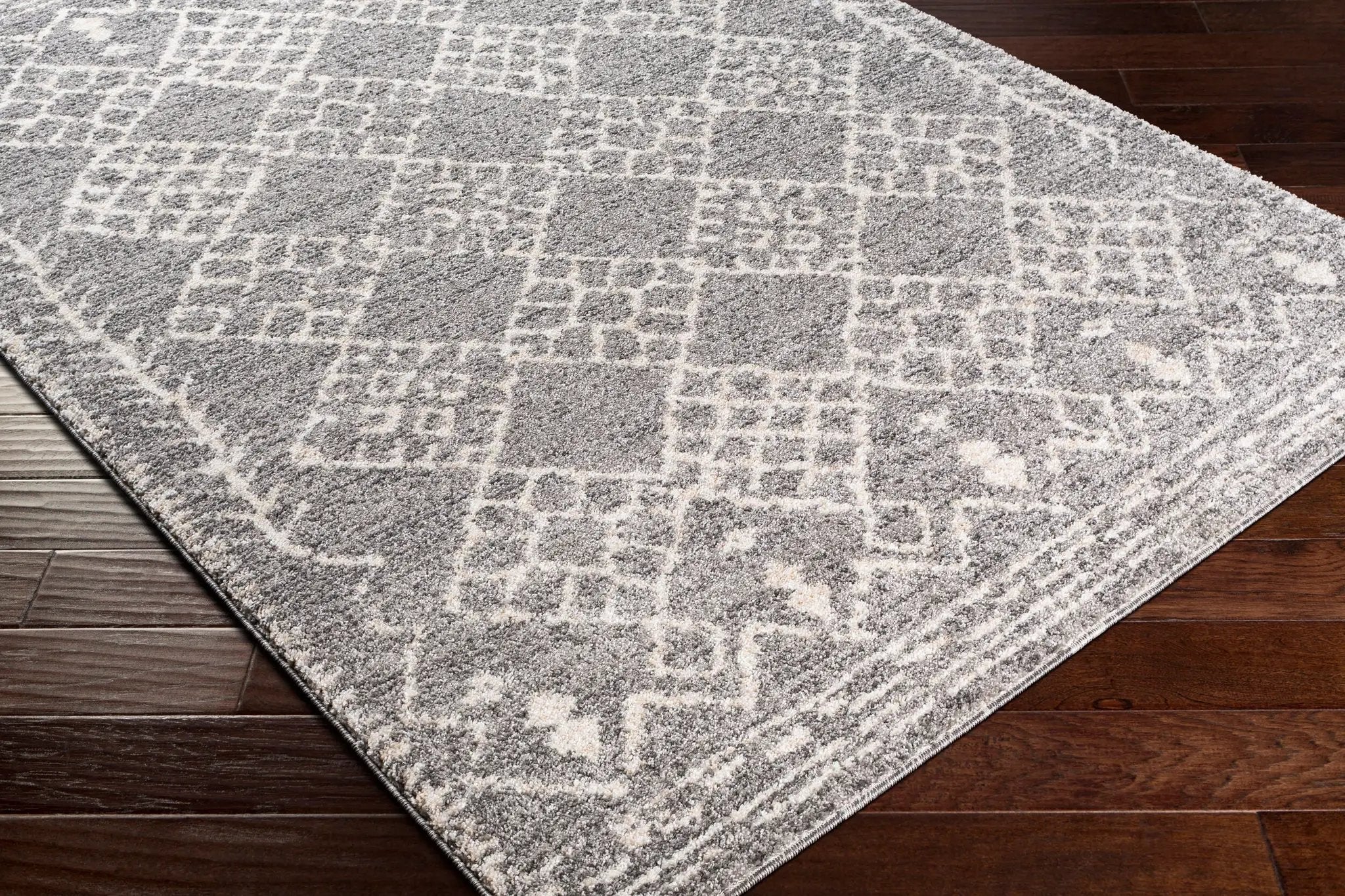 Andorra ARD-2308 Gray Area Rug by LIVABLISS