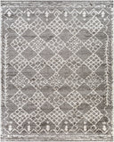 Andorra ARD-2308 Gray Area Rug