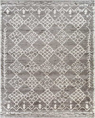 Andorra ARD-2308 Gray Area Rug by LIVABLISS