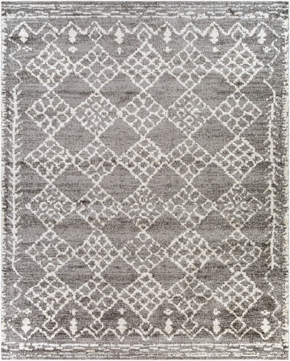 Andorra ARD-2308 Gray Area Rug