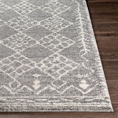 Andorra ARD-2308 Gray Area Rug by LIVABLISS