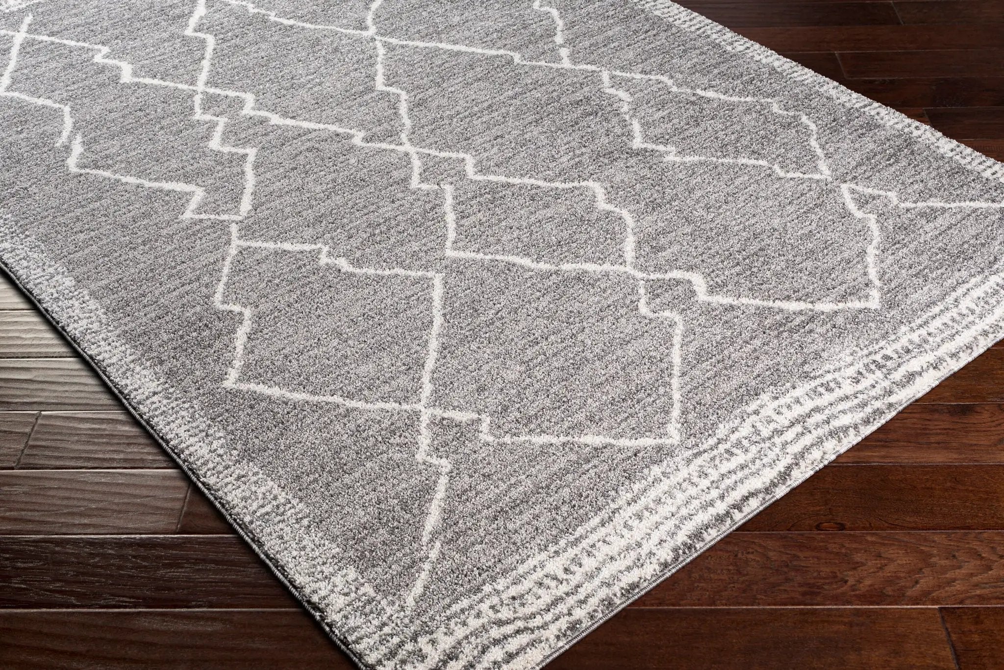 Andorra ARD-2309 Charcoal Area Rug by LIVABLISS