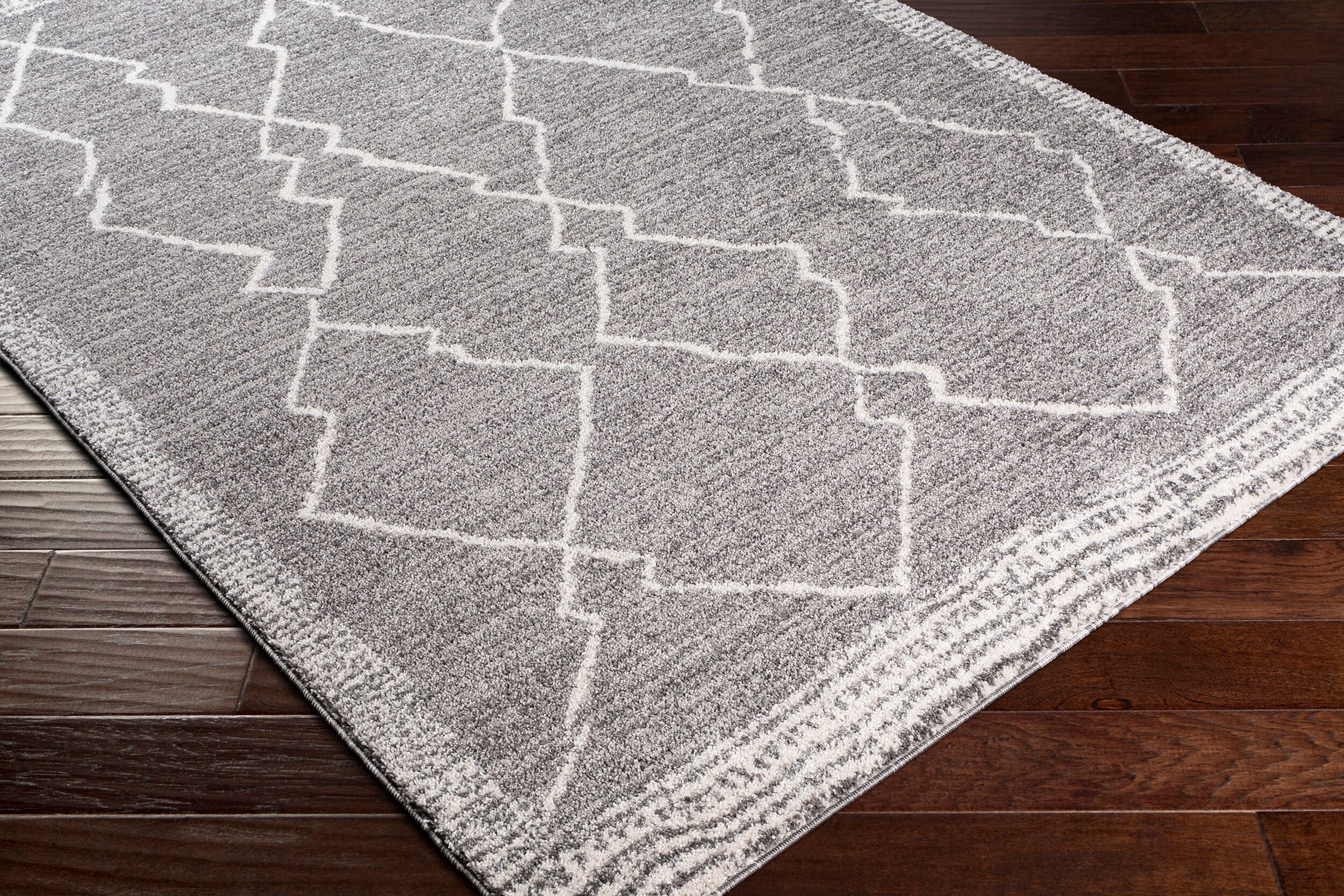 Andorra ARD-2309 Charcoal Area Rug