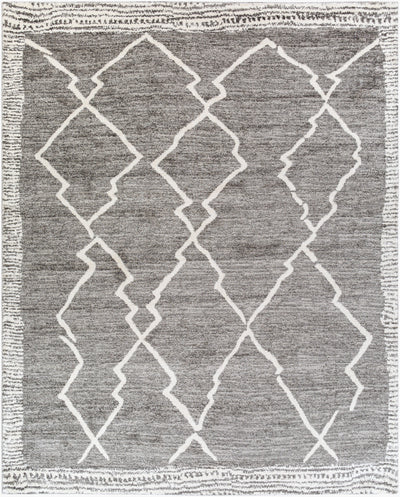 Andorra ARD-2309 Charcoal Area Rug