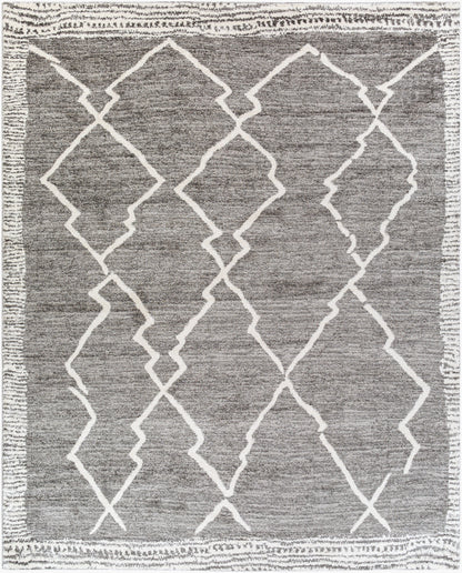 Andorra ARD-2309 Charcoal Area Rug