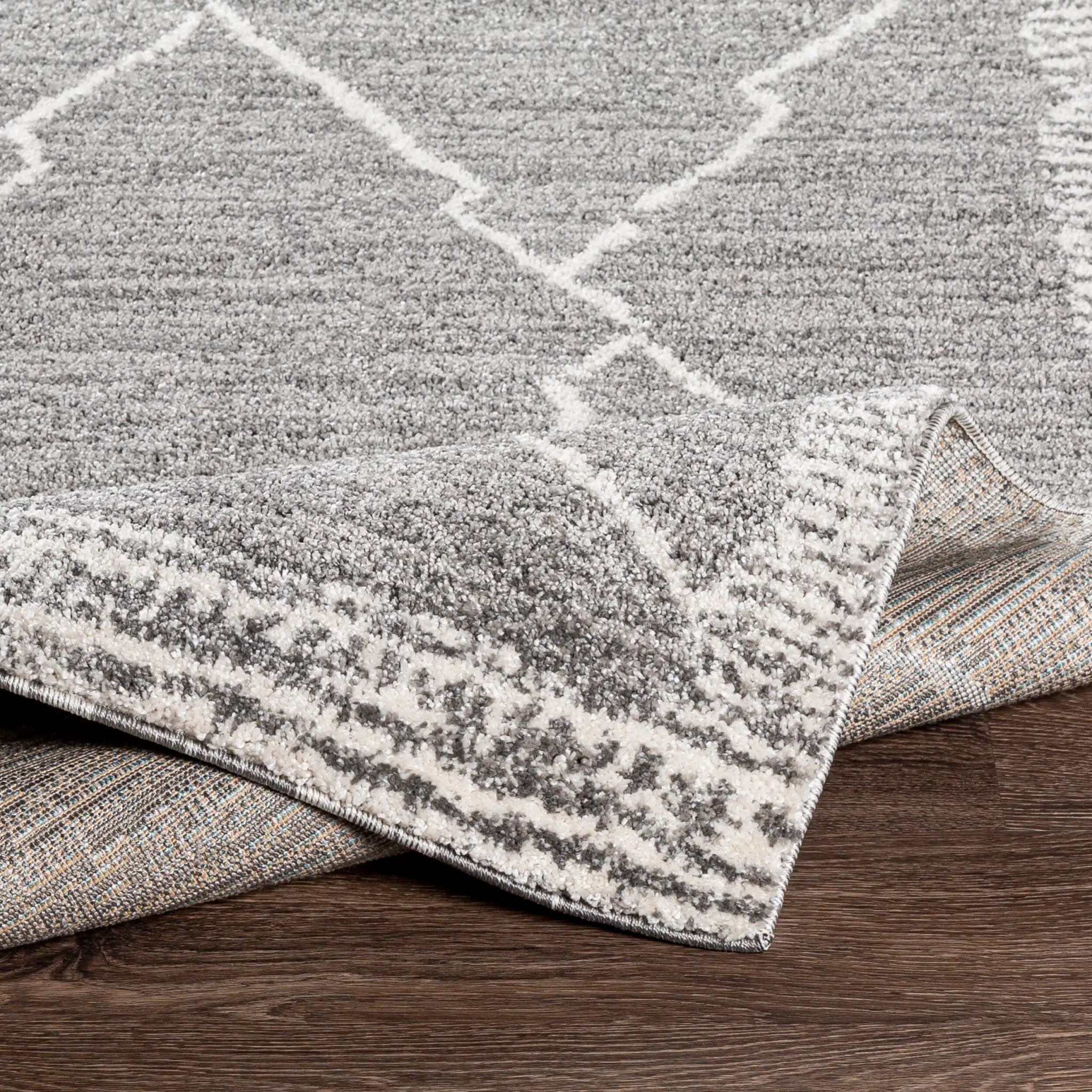 Andorra ARD-2309 Charcoal Area Rug by LIVABLISS