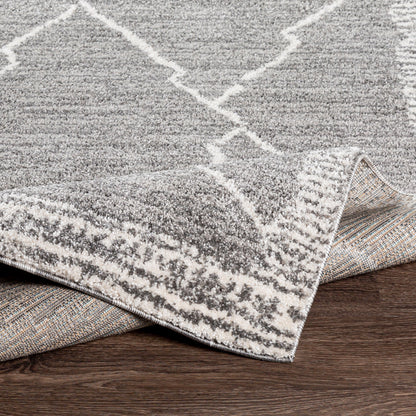 Andorra ARD-2309 Charcoal Area Rug