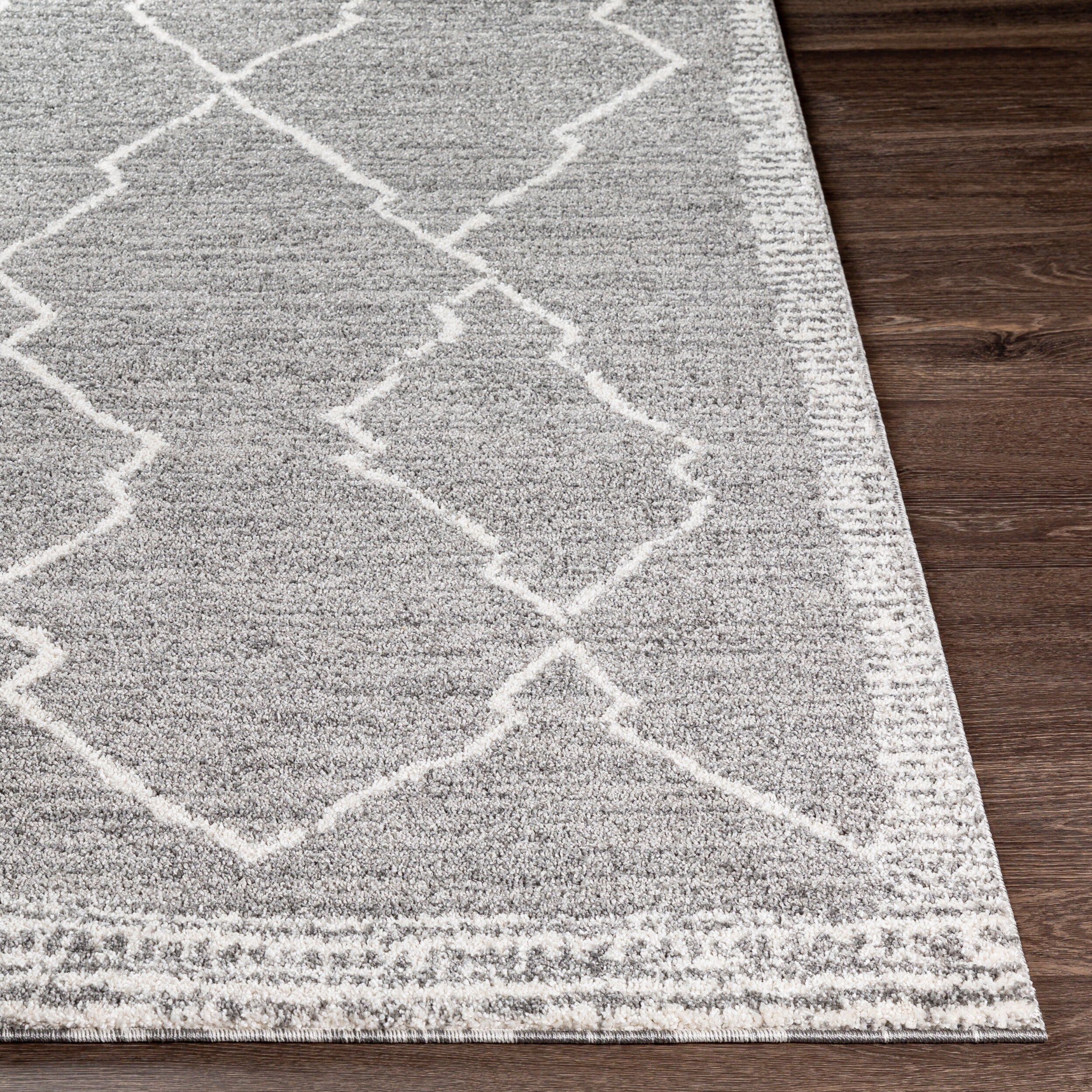 Andorra ARD-2309 Charcoal Area Rug