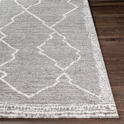 Andorra ARD-2309 Charcoal Area Rug