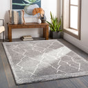 Andorra ARD-2309 Charcoal Area Rug