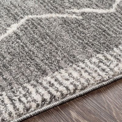 Andorra ARD-2309 Charcoal Area Rug