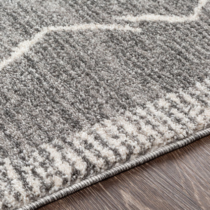 Andorra ARD-2309 Charcoal Area Rug