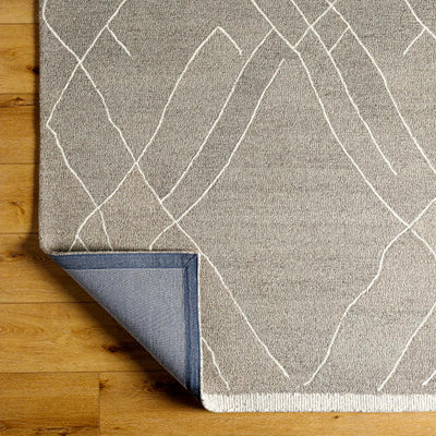 Arsenal ARL-2305 Medium-Gray Area Rug by LIVABLISS